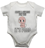 I Have a Surprise For You Its Poop Baby Vests Bodysuits