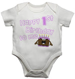 Happy First Birthday To Me Baby Girls Vests Bodysuits