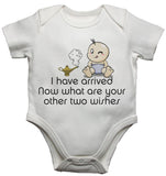 I have Arrived Now What are Your Other 2 Wishes - Baby Vests Bodysuits